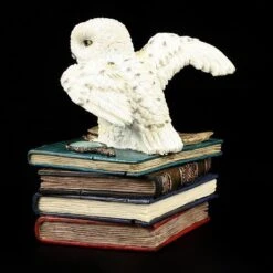 Magische Schatulle - Eule Auf Büchern -Veronese 10158 4 eule buecher 4 1280x1280