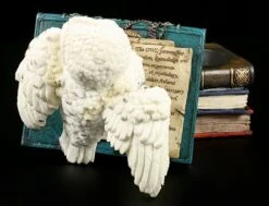 Magische Schatulle - Eule Auf Büchern -Veronese 10158 5 eule buecher 5 1280x1280