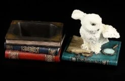 Magische Schatulle - Eule Auf Büchern -Veronese 10158 6 eule buecher 6 1280x1280