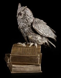 Weise Eule - Figur Sitzend Auf Büchern -Veronese 11589 2 weise eule 2 1280x1280