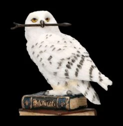 Eulen Figur - Schneeeule Mit Zauberstab -Veronese 2D FS23035 Eulen Figur Schneeeule mit Zauberstab 10 1280x1280