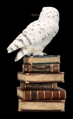 Eulen Figur - Schneeeule Mit Zauberstab -Veronese 2D FS23035 Eulen Figur Schneeeule mit Zauberstab 4 1280x1280