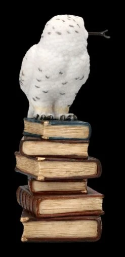 Eulen Figur - Schneeeule Mit Zauberstab -Veronese 2D FS23035 Eulen Figur Schneeeule mit Zauberstab 5 1280x1280