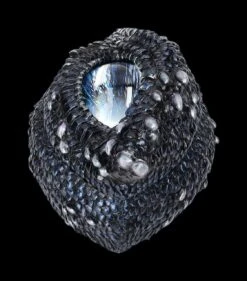 Schatulle - Drachenauge Blau 7 Schatulle - Drachenauge Blau -Veronese 2D FS23608 Schatulle Drachenauge blau 3 1280x1280