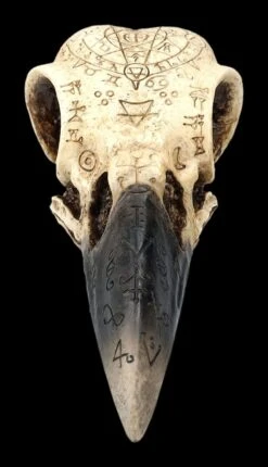 Totenkopf - Rabenschädel Mit Mytischen Symbolen -Veronese 2D FS25098 Totenkopf Rabensch del mit mystischen Symbolen 1 1280x1280