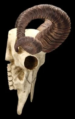 Wandrelief Totenkopf - Korsischer Widderschädel 6 Wandrelief Totenkopf - Korsischer Widderschädel -Veronese 2D FS25105 Wandrelief Totenkopf Korsischer Widdersch del 11 1280x1280