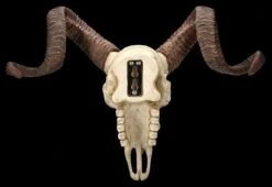 Wandrelief Totenkopf - Korsischer Widderschädel 5 Wandrelief Totenkopf - Korsischer Widderschädel -Veronese 2D FS25105 Wandrelief Totenkopf Korsischer Widdersch del 12 1280x1280