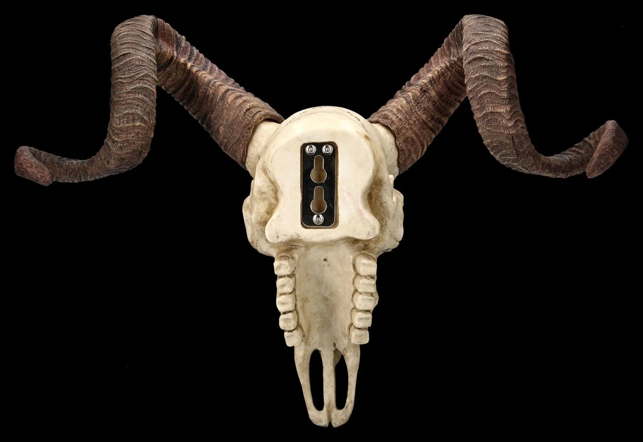 Wandrelief Totenkopf - Korsischer Widderschädel Wandrelief Totenkopf - Korsischer Widderschädel -Veronese 2D FS25105 Wandrelief Totenkopf Korsischer Widdersch