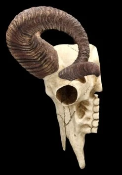 Wandrelief Totenkopf - Korsischer Widderschädel 4 Wandrelief Totenkopf - Korsischer Widderschädel -Veronese 2D FS25105 Wandrelief Totenkopf Korsischer Widdersch del 5 1280x1280