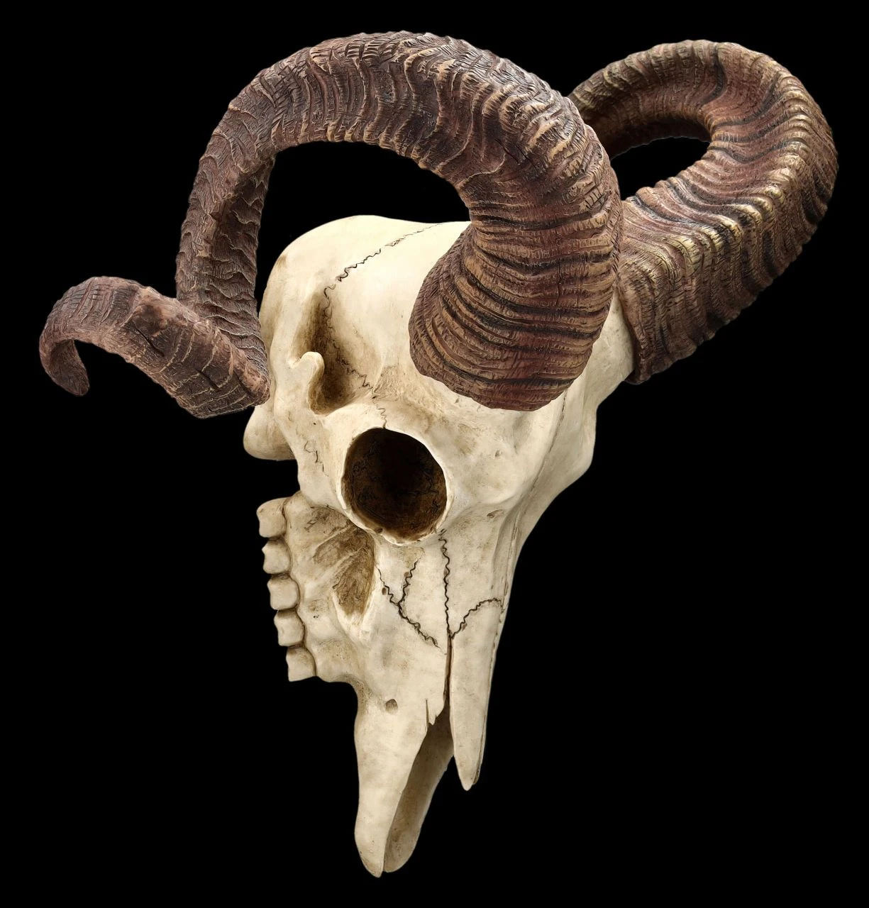 Wandrelief Totenkopf - Korsischer Widderschädel Wandrelief Totenkopf - Korsischer Widderschädel -Veronese 2D FS25105 Wandrelief Totenkopf Korsischer Widdersch