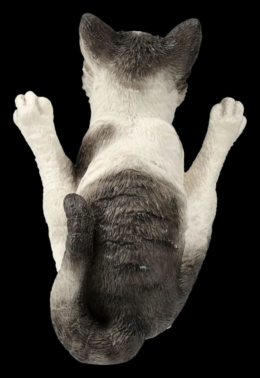 Katzen Figur beim Yoga - Feuerfliege Katzen Figur Beim Yoga - Feuerfliege -Veronese 2D FS26069 Katzen Figur beim Yoga