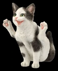 Katzen Figur Beim Yoga - Feuerfliege 5 Katzen Figur Beim Yoga - Feuerfliege -Veronese 2D FS26069 Katzen Figur beim Yoga Feuerfliege 7 1280x1280