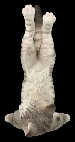 Katzen Figur Beim Yoga - Schulterstand 3 Katzen Figur Beim Yoga - Schulterstand -Veronese 2D FS26070 Katzen Figur beim Yoga Schulterstand 3 1280x1280
