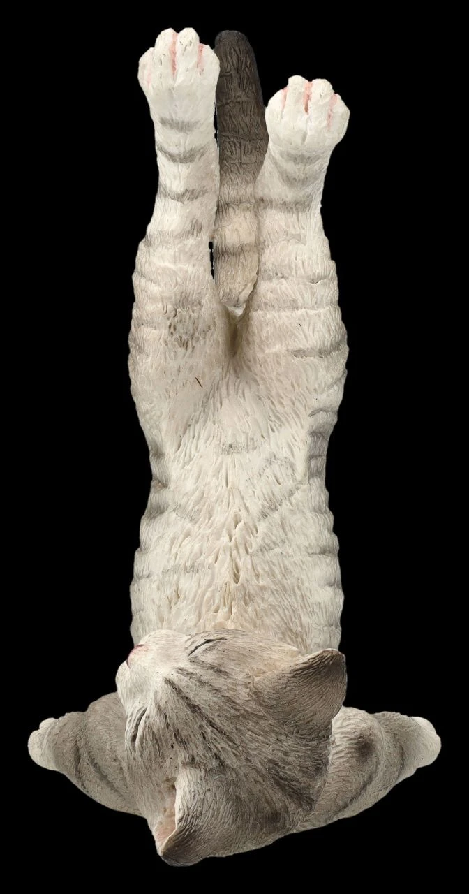 Katzen Figur beim Yoga - Schulterstand Katzen Figur Beim Yoga - Schulterstand -Veronese 2D FS26070 Katzen Figur beim Yoga