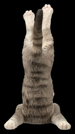 Katzen Figur Beim Yoga - Schulterstand 5 Katzen Figur Beim Yoga - Schulterstand -Veronese 2D FS26070 Katzen Figur beim Yoga Schulterstand 5 1280x1280