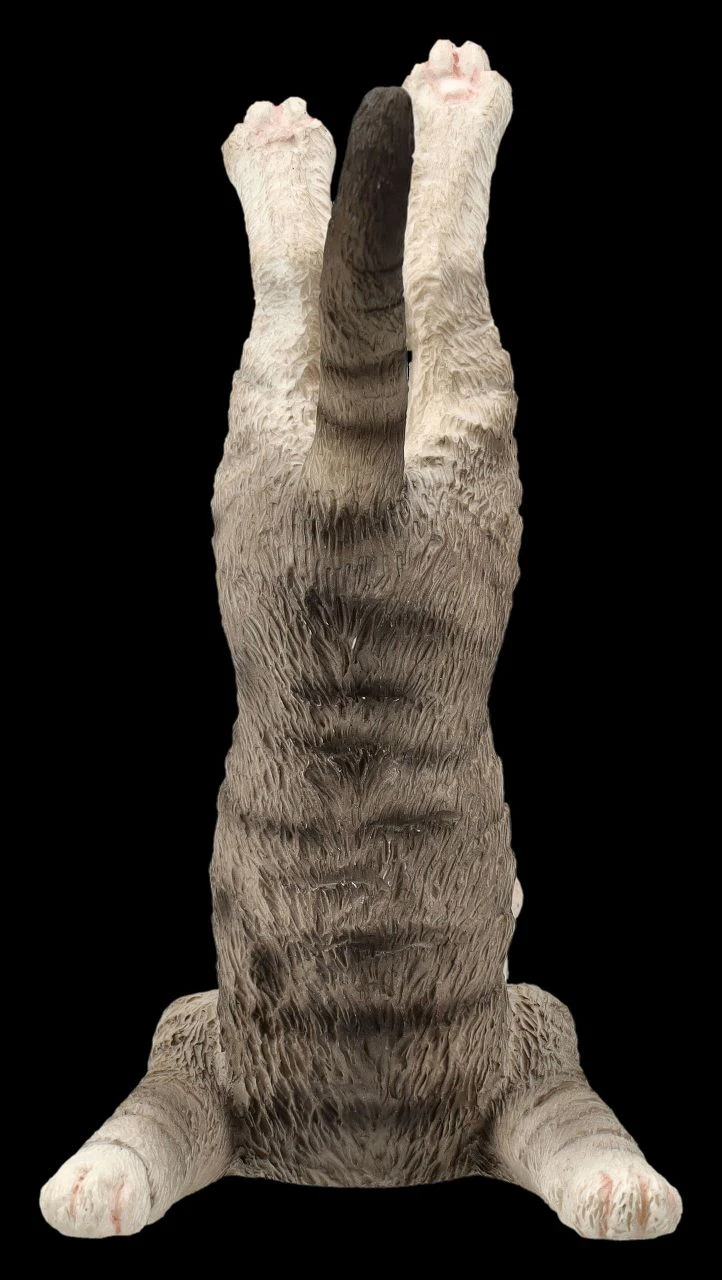 Katzen Figur beim Yoga - Schulterstand Katzen Figur Beim Yoga - Schulterstand -Veronese 2D FS26070 Katzen Figur beim Yoga