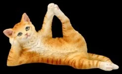 Katzen Figur Beim Yoga - Schlafender Vishnu