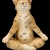 Katzen Figur Beim Yoga - Lotussitz