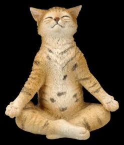 Katzen Figur Beim Yoga - Lotussitz
