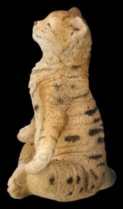 Katzen Figur Beim Yoga - Lotussitz 2 Katzen Figur Beim Yoga - Lotussitz -Veronese 2D FS26072 Kathen Figur beim Yoga Lotussitz 3 1280x1280