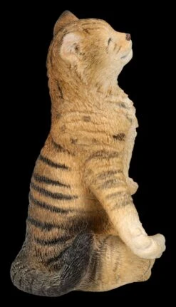 Katzen Figur Beim Yoga - Lotussitz 4 Katzen Figur Beim Yoga - Lotussitz -Veronese 2D FS26072 Kathen Figur beim Yoga Lotussitz 5 1280x1280