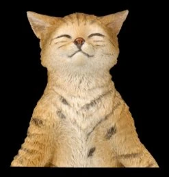 Katzen Figur Beim Yoga - Lotussitz 6 Katzen Figur Beim Yoga - Lotussitz -Veronese 2D FS26072 Kathen Figur beim Yoga Lotussitz 8 1280x1280