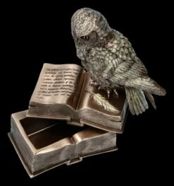 Schatulle - Eule Sitzt Auf Büchern -Veronese 2D ML11660 Schatulle Eule sitzt auf Buechern 3 1280x1280