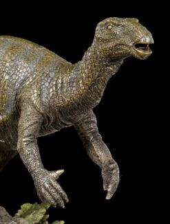 Dinosaurier Figur - Iguanodon -Veronese Dinosaurier Figur Iguandodon 4 1280x1280