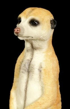 Erdmännchen Figur Mit Baby -Veronese Erdmaennchen Figur Baby Veronese 4 1280x1280