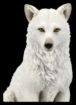 Weiße Wolf Figur - Sitzend -Veronese KS4035 Weisse Wolf Figur sitzend 10 1280x1280