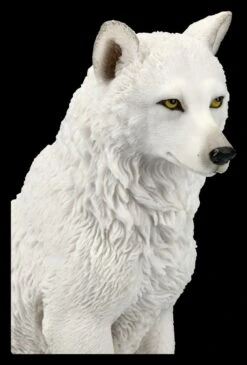 Weiße Wolf Figur - Sitzend -Veronese KS4035 Weisse Wolf Figur sitzend 9 1280x1280