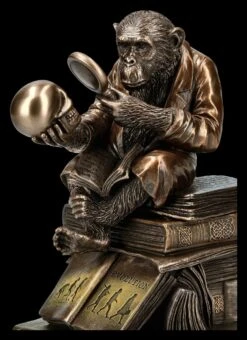 Affe Mit Schädel - Darwinismus Evolutionstheorie 6 Affe Mit Schädel - Darwinismus Evolutionstheorie -Veronese KS5214 Affe mit Schaedel Darwinismus Evolutionstheorie 9 1280x1280