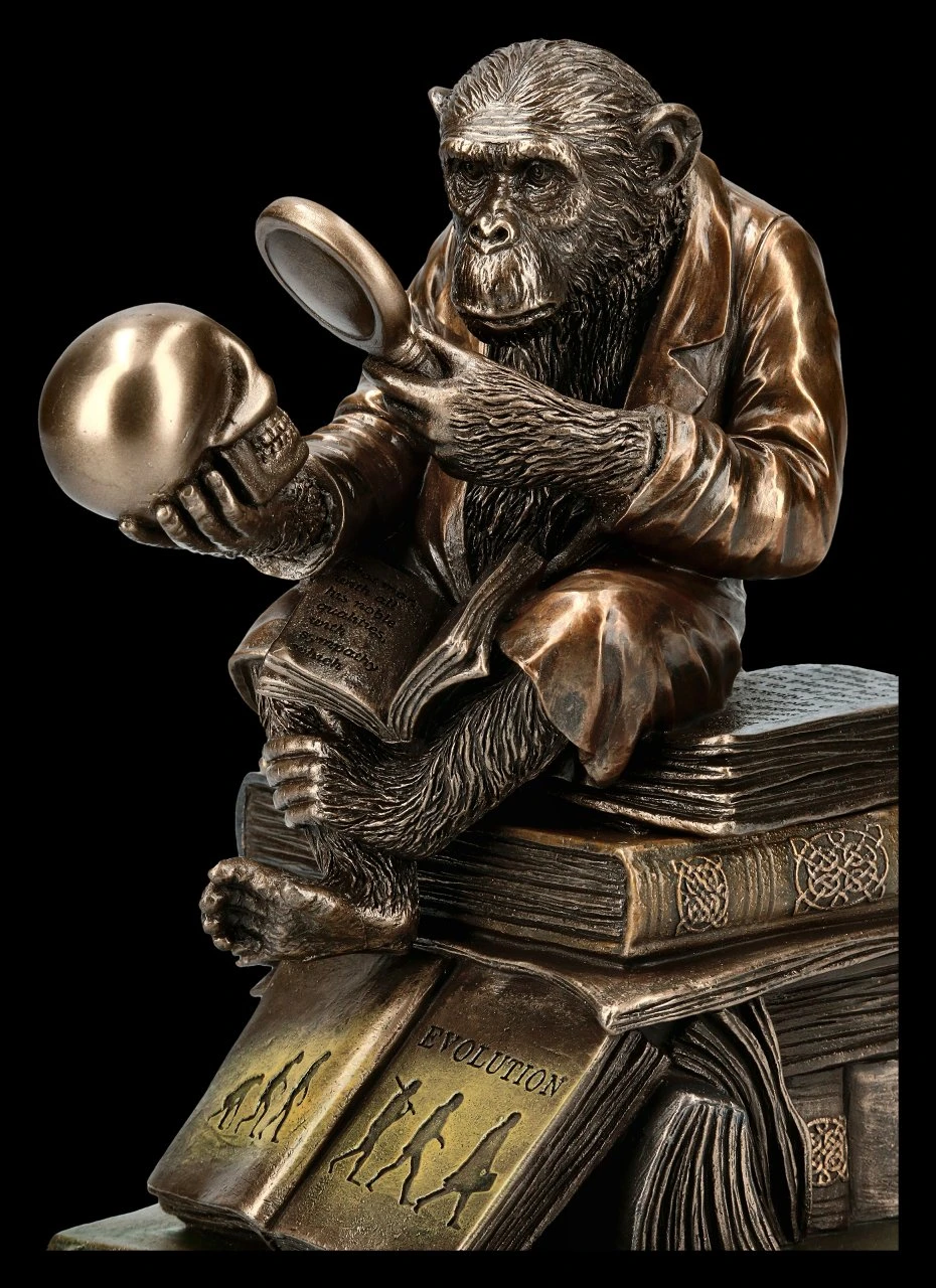 Affe mit Schädel - Darwinismus Evolutionstheorie Affe Mit Schädel - Darwinismus Evolutionstheorie -Veronese KS5214 Affe mit Schaedel Darwinismus