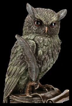 Eulen Figur - Sitzend Auf Büchern 5 Eulen Figur - Sitzend Auf Büchern -Veronese ML11501 Eulen Figur Sitzend auf Buechern 10 1280x1280