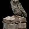 Schatulle - Eule Sitzt Auf Büchern
