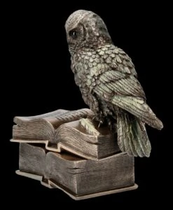Schatulle - Eule Sitzt Auf Büchern -Veronese ML11660 Schatulle Eule sitzt auf Buechern 3 1280x1280