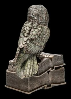 Schatulle - Eule Sitzt Auf Büchern -Veronese ML11660 Schatulle Eule sitzt auf Buechern 5 1280x1280