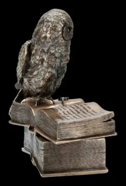Schatulle - Eule Sitzt Auf Büchern -Veronese ML11660 Schatulle Eule sitzt auf Buechern 8 1280x1280