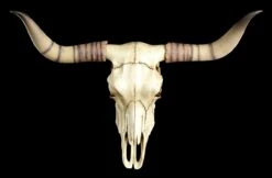 Veronese -Veronese Rinder Totenkopf Wanddeko 1 1280x1280