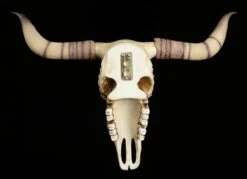Longhorn Rinderschädel 2 Longhorn Rinderschädel -Veronese Rinder Totenkopf Wanddeko 2 1280x1280