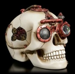Steampunk Totenkopf Schatulle - Secret Observation